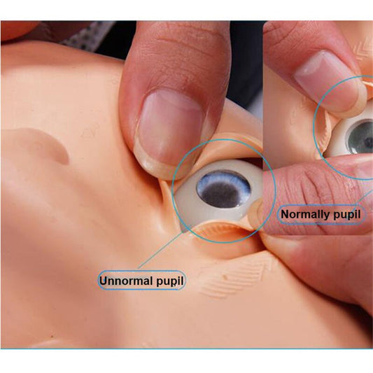 70x22x34cm Bust CPR Training Manikin Professional Nursing Training ATT